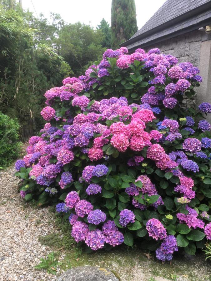 Nature, Mer, Golf & Decouvertes... 플루하 외부 사진