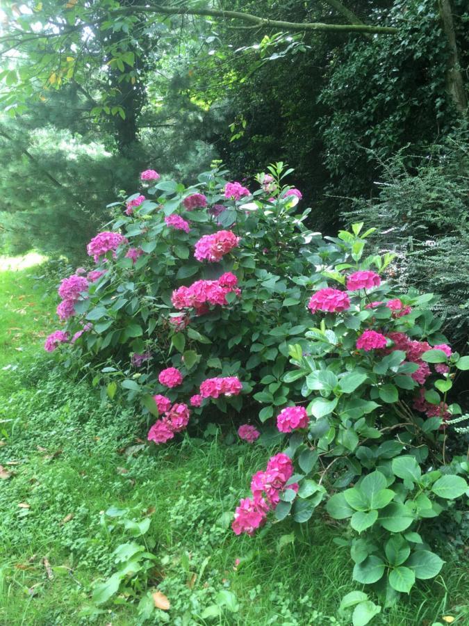 Nature, Mer, Golf & Decouvertes... 플루하 외부 사진