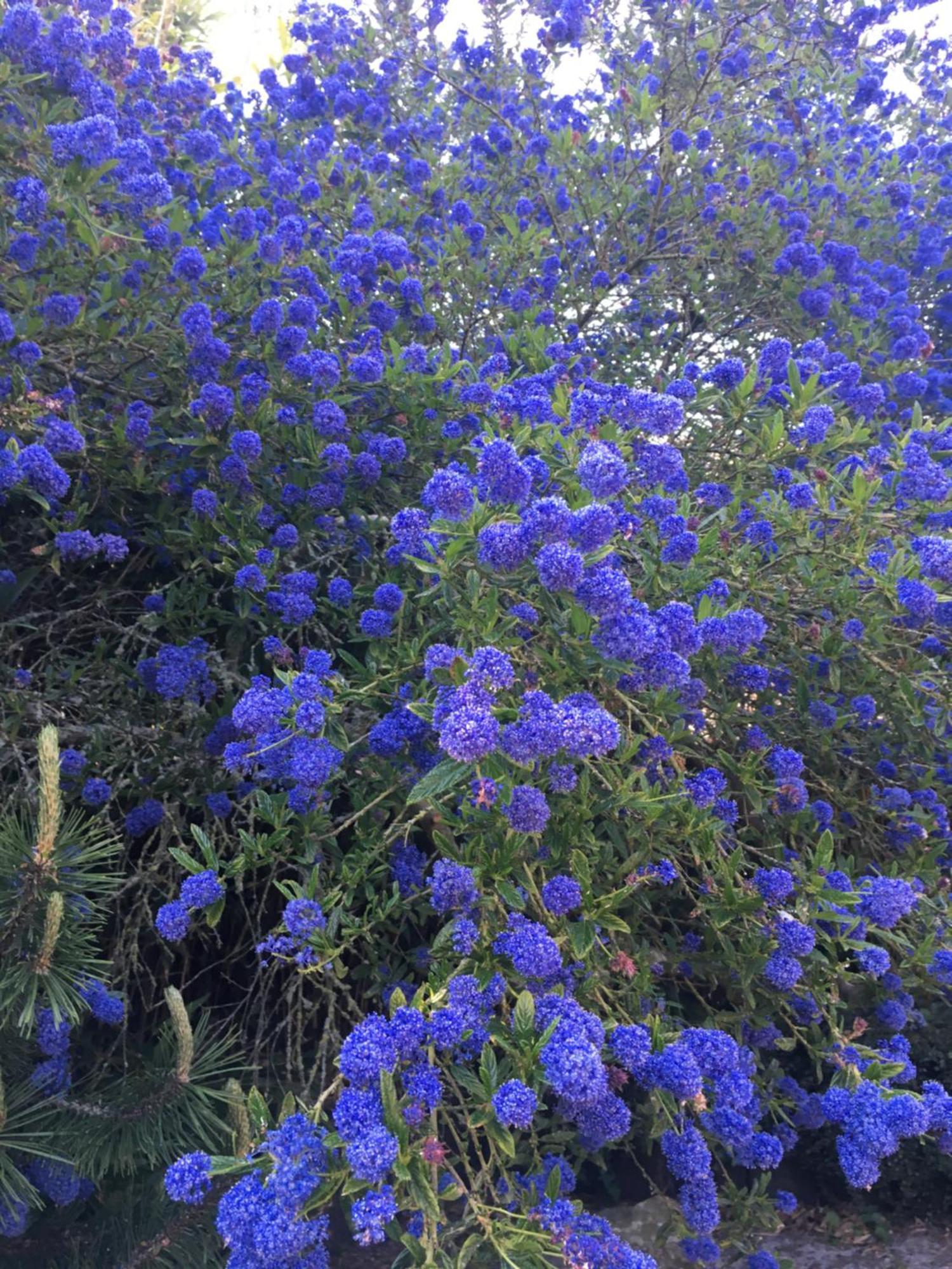 Nature, Mer, Golf & Decouvertes... 플루하 외부 사진